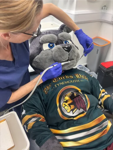 Whitley Wolf in the dentist's chair